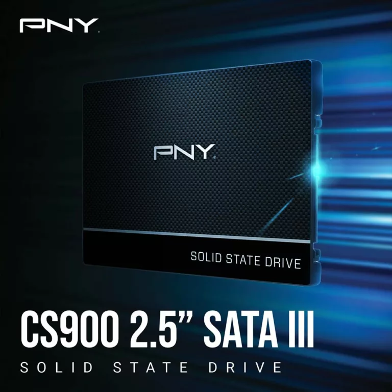 Disque SSD PNY CS900 250Go - S-ATA 2,5" - SSD7CS900-250-RB